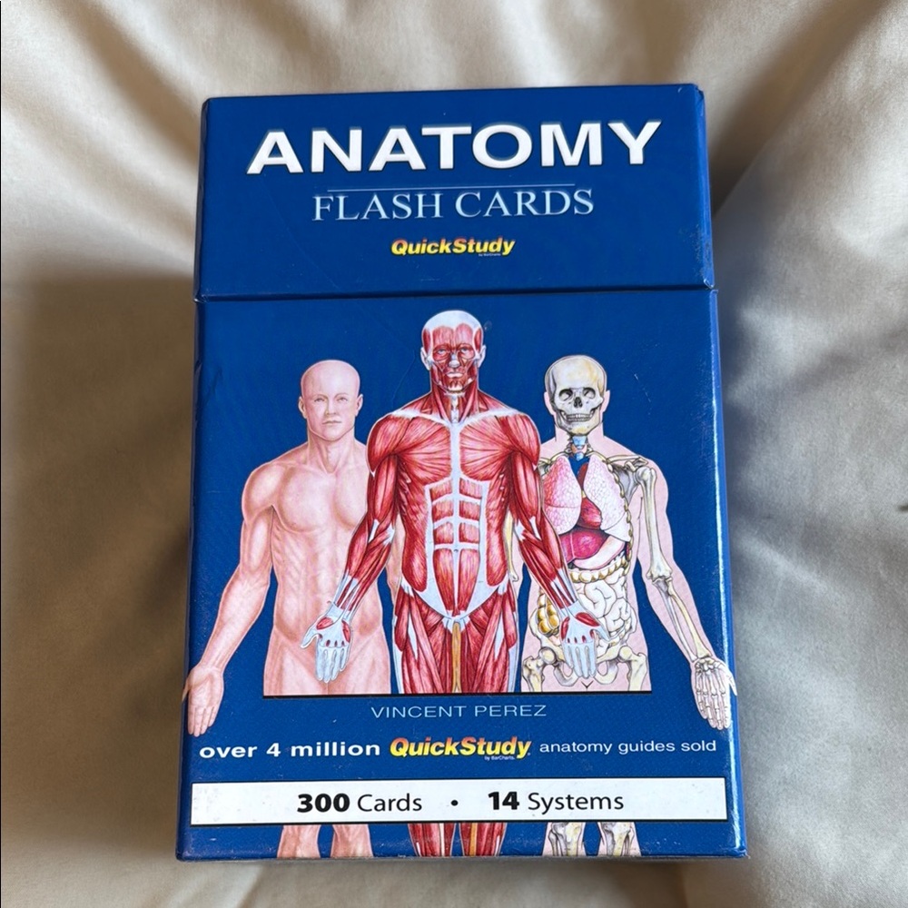 Anatomy Flash Cards by QuickStudy